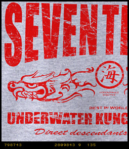 Underwater Kung-fu Masters Mens Scuba Divers Hooded Sweatshirt image 9